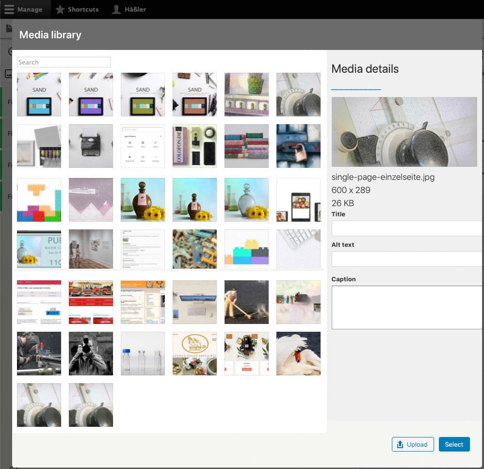 Drupal 8 Media Library Screenshot